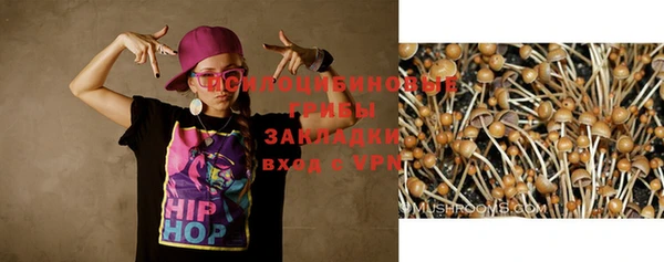 кокаин Гусь-Хрустальный
